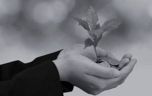 SOW A SEED 1